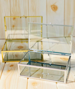 Glass Shadow Box