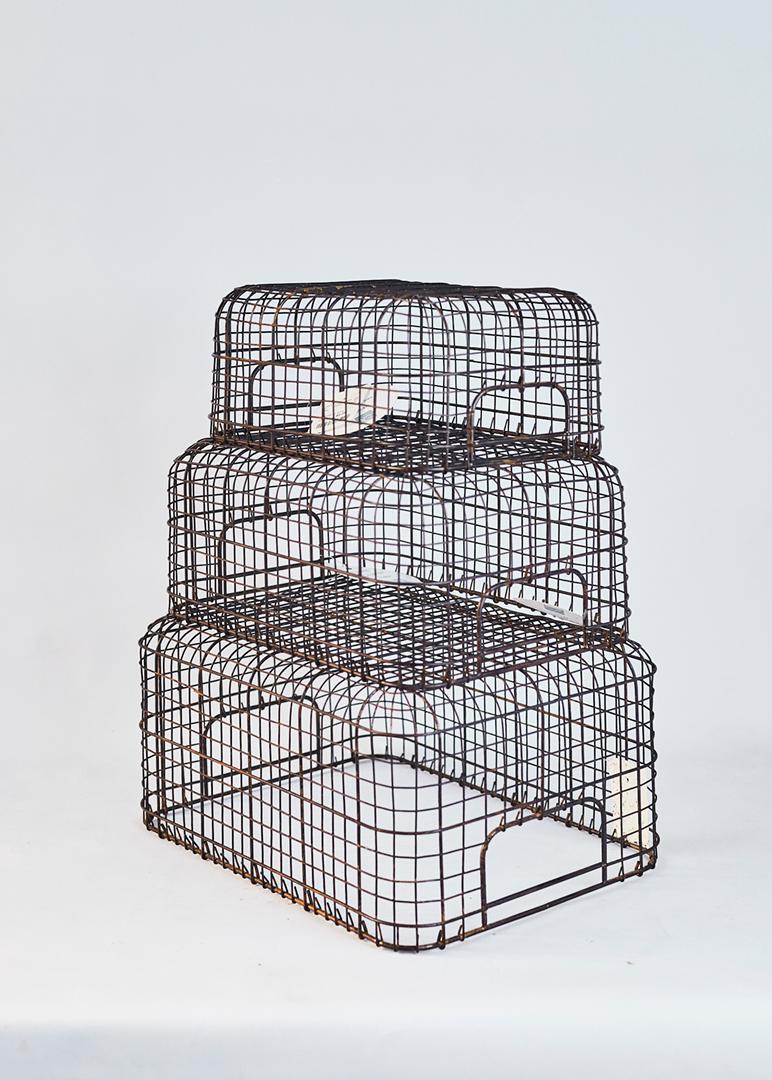 Metal wire Basket